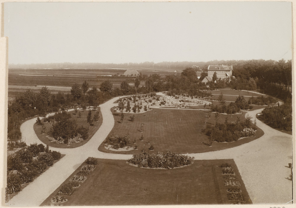 Arboretum De Dreijen, enkele jaren na de aanleg.